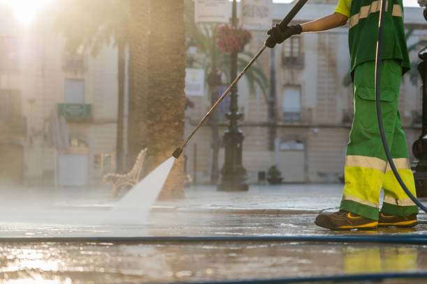 Best Solar Panel Cleaning  in Sargent, TX